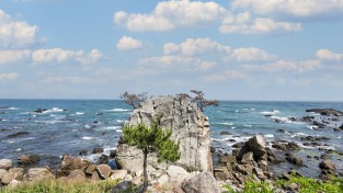 경주시 동해 절경 품은 경주 해파랑길…주상절리·문무대왕릉 한 번에
