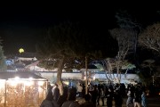 도산서원 야간개장 , 이번주말 매화만개와 함께 절정