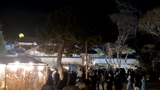도산서원 야간개장 , 이번주말 매화만개와 함께 절정