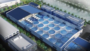 포항시, ‘연어양식특화단지’ 조성 탄력