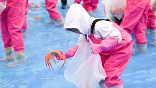 경상북도 우수축제  ‘제29회 영덕대게축제’ 오는 26일 개막