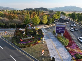 경북도, 2026년 가로수 조성‧관리 우수사례 국민투표 도전