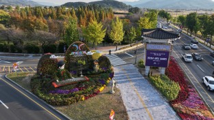 경북도, 2026년 가로수 조성‧관리 우수사례 국민투표 도전