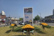 성주군 성주읍, 축제맞이 회전교차로 참외지게 조성