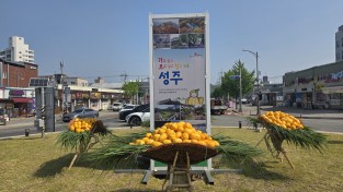성주군 성주읍, 축제맞이 회전교차로 참외지게 조성