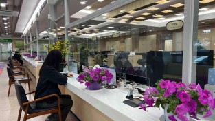 성주군, 봄맞이 민원실 꽃단장 ... 환경정비