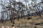 의성군, 고운사 산불피해 위험목 제거사업 추진