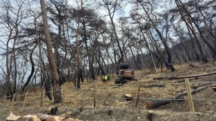 의성군, 고운사 산불피해 위험목 제거사업 추진