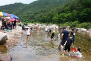 울진군, 오는 13일 제19회 왕피천 피래미 축제 개최