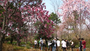 포항 기청산식물원, ‘꼭 가봐야 할 수목원 10선’ 3년 연속 선정