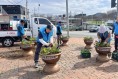 의성군 봉양면 주민자치회, 봄꽃 식재로 거리 환경 정비
