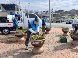 의성군 봉양면 주민자치회, 봄꽃 식재로 거리 환경 정비