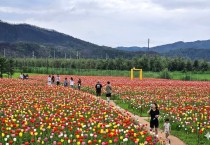 안동시, ‘안동포세대공감페스타’ 개최