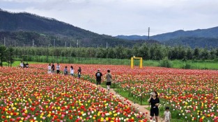 안동시, ‘안동포세대공감페스타’ 개최