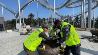 포항시, 환호공원 스페이스워크 일원 봄꽃 식재