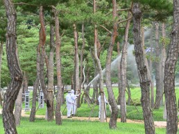 산소카페 청송군, 2026 산림정책 발표