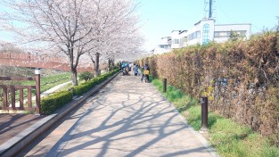 안동시 태화동, 천리천 제방산책로 새단장