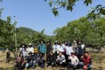 김천시 구성면, 영농철 맞아 복숭아 농가 일손돕기 ‘구슬땀