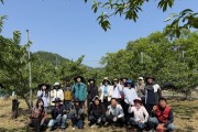 김천시 구성면, 영농철 맞아 복숭아 농가 일손돕기 ‘구슬땀
