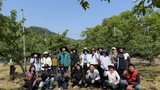 김천시 구성면, 영농철 맞아 복숭아 농가 일손돕기 ‘구슬땀