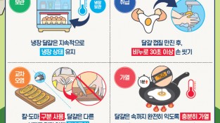 안동시, 상반기 어린이집 식중독 예방 합동 점검 실시