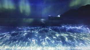 영덕 장사상륙작전 전승기념관, ‘체험형 테마 공간’으로 재구성