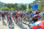 영주시, ‘제28회 전국사이클대회’와 ‘2026 마스터즈사이클 영주투어’ 성료
