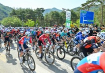 영주시, ‘제28회 전국사이클대회’와 ‘2026 마스터즈사이클 영주투어’ 성료