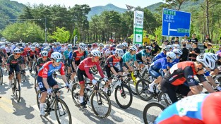 영주시, ‘제28회 전국사이클대회’와 ‘2026 마스터즈사이클 영주투어’ 성료