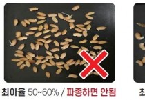 영천시, ‘못자리 육묘 안전 관리 요령’ 전파