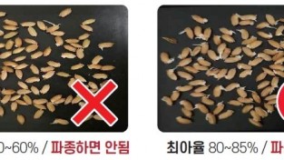 영천시, ‘못자리 육묘 안전 관리 요령’ 전파