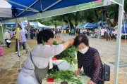 안동시, ‘궁궁이’ 꽂고 함께 즐긴 제33회 안동길안단오제 성료