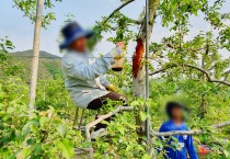 청송군, 외국인 계절근로자 451명 순차 입국