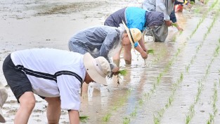 청송군 전국농민회총연맹 청송군농민회, 2026 풍년기원제 및 통일쌀 손 모내기 행사 개최