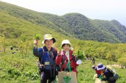 영양산나물축제 기간 중 ‘산나물채취체험행사’ 운영