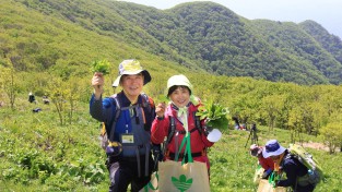 영양산나물축제 기간 중 ‘산나물채취체험행사’ 운영