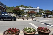봉화군 상운면 아름다운 꽃길 만들기 사업추진