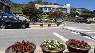봉화군 상운면 아름다운 꽃길 만들기 사업추진