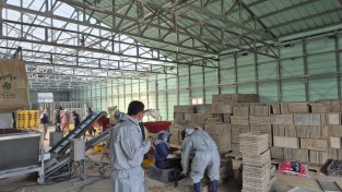 울진군, 기후변화 대응‘ 못자리 10일 늦추기’ 운동 추진