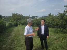 의성군, 복숭아 선도농가 찾아 현장 격려