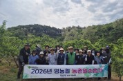 경산시 농업기술센터 직원, 복숭아 적과 작업 등 농촌 일손 돕기 나서