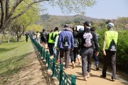 경주시, 제3회 선덕여왕길 왕벚꽃 맨발행사 성황리에 마쳐