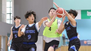 예천군, 제64회 경북민체육대회 성공적인 대회 위한 준비 마쳐