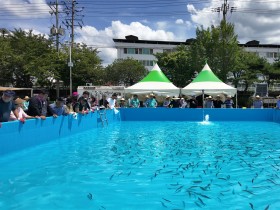 제28회봉화은어축제 경쟁은 짜릿하게, 화합은 뜨겁게… 군민‧기관‧예술인이 함께