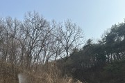 김천시 구성면 ‘산불기계화장비 모의 진화훈련’ 실시