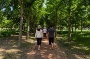 경주시, 황성문화공원 맨발둘레길 준공