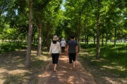 경주시, 황성문화공원 맨발둘레길 준공