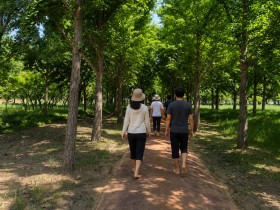 경주시, 황성문화공원 맨발둘레길 준공