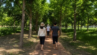 경주시, 황성문화공원 맨발둘레길 준공