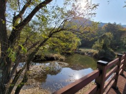 권기창 국민의힘 안동시장 예비후보